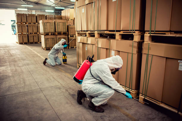 Reliable Covington, TN Pest Control Solutions