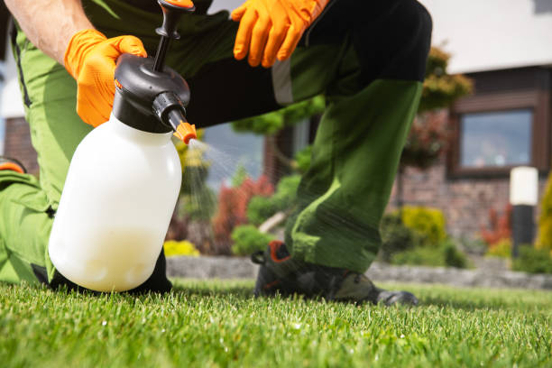 Best Emergency Pest Control  in Covington, TN