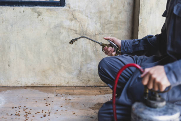Best Pest Prevention Services  in Covington, TN
